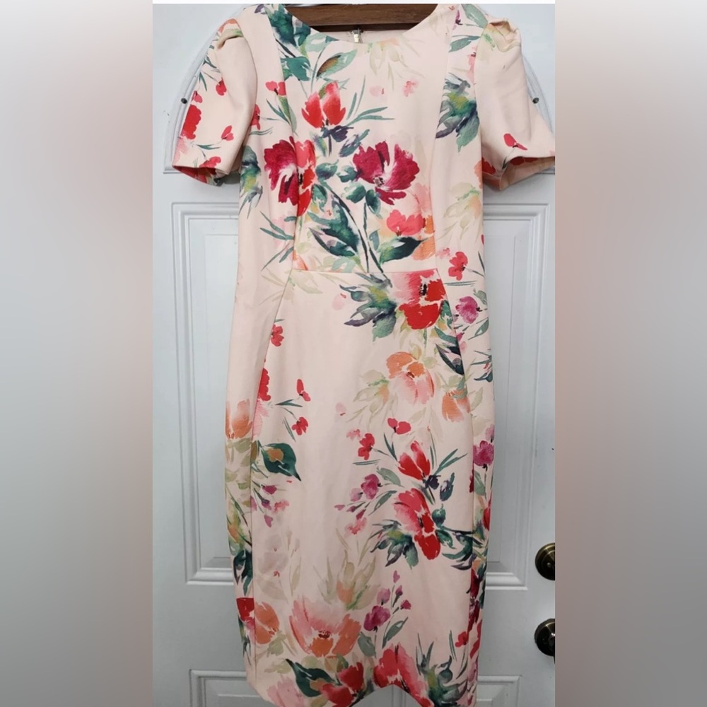 Calvin Klein Women's Pink Floral Dress Size 6